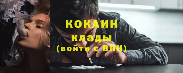 тгк Алексин
