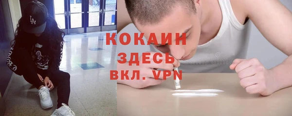 тгк Алексин