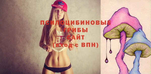 тгк Алексин