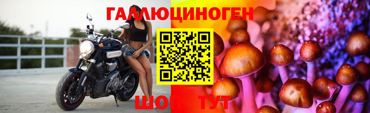 Белгород  Галлюциногенные грибы GOLDEN TEACHER  Вход с VPN  Псилоцибиновые грибы Psilocybe 